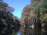 Congaree NP 09